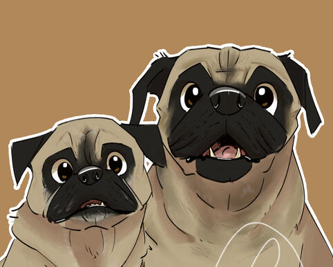 Pugs